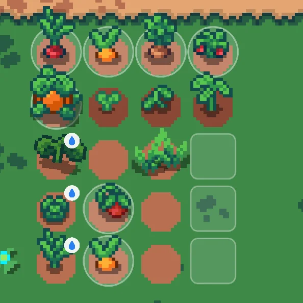 A close-up of the field with radishes, carrots, cabbage and pumpkins at different stages.
